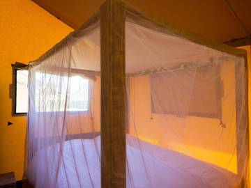 Glamping voor 4 Personen in Mierlo, Noord-Brabant, Afbeelding 2