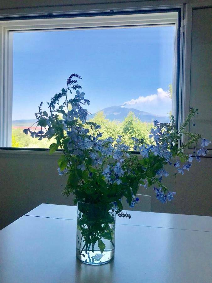 B&b per 2 persone, con Balcone e Terrazza nonché Giardino e Panorama a Belpasso
