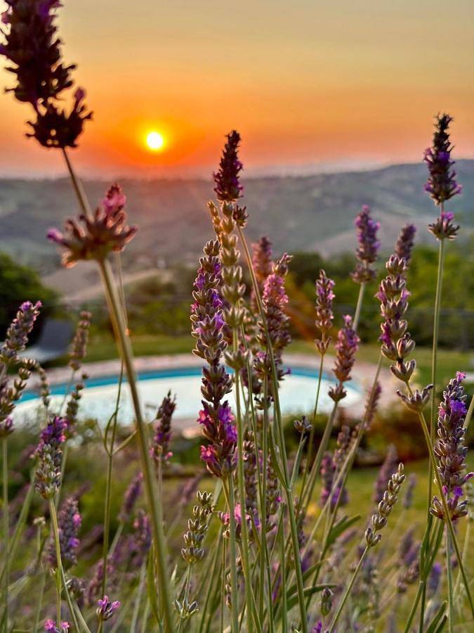 Refugium Veritas - entire Villa with Pool in Cupramontana, Provincia di Ancona