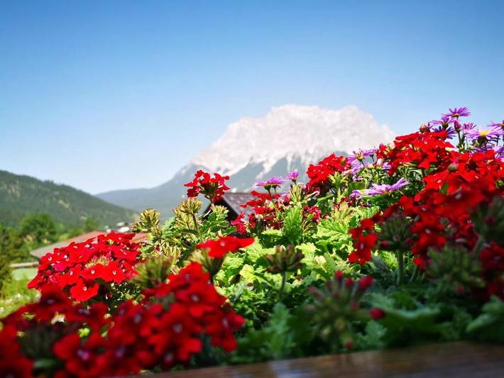 Ferienwohnung für 7 Personen, mit Terrasse und Ausblick, mit Haustier in Lermoos - 3