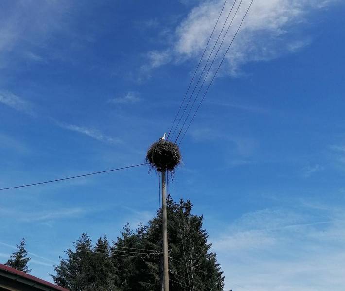 Gîte pour 4 personnes, avec jardin ainsi que vue et piscine, animaux acceptés à Steinen - 2