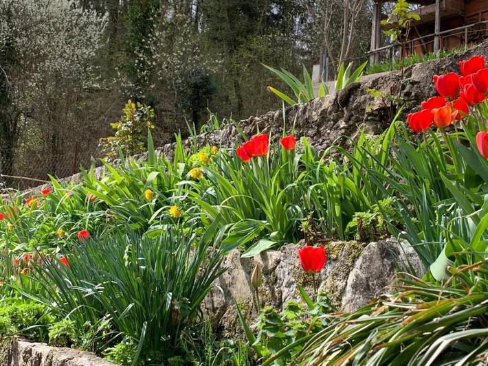 Location de vacances pour 2 personnes, avec jardin, adapté aux familles à Rieti - 3