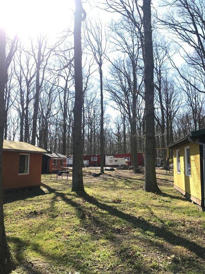 Camper Stellplatz für dein Camper oder Womo Direkt am Strand in Bakenberg, Dranske
