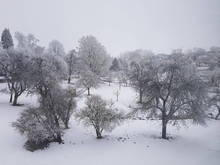 Gîte pour 4 personnes, avec vue à Bonndorf im Schwarzwald - 4