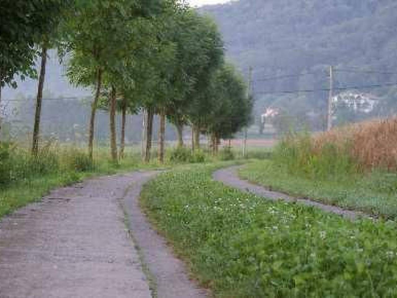 Kleiner Bungalow mit zwei Schlafzimmern. in La Vall de Bianya, Garrotxa