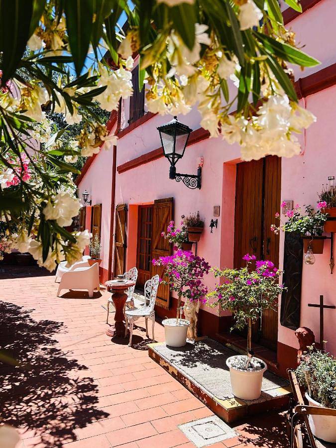 Gîte pour 3 personnes, avec jardin et jacuzzi à Corinaldo - 3