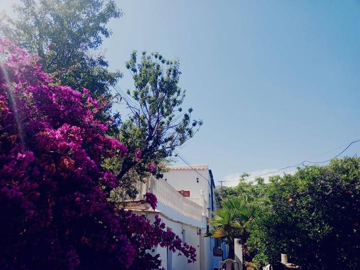 Apartamento de vacaciones para 2 personas, con vistas y terraza, Se admiten mascotas en Alpujarras - 4