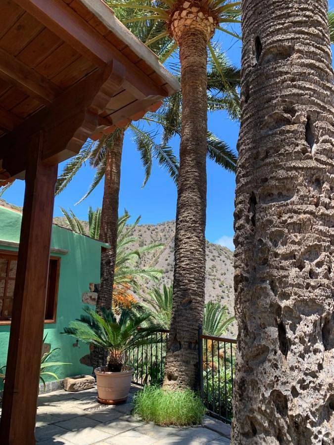 Casa rural Las Palmeras in Tamargada, Vallehermoso