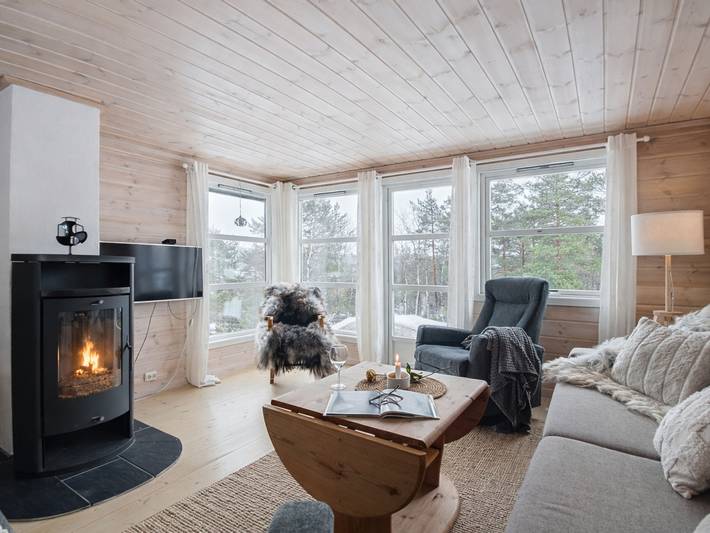 Ferienhaus für 6 Personen, mit Terrasse in Åseral - 2