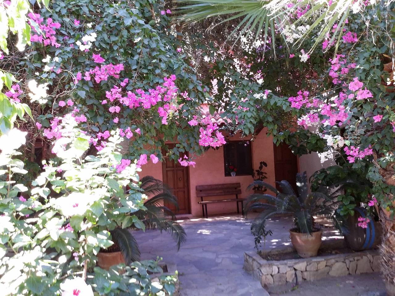 Casita de campo 'Olive Tree 4' con vistas al mar, terraza privada y Wi-Fi in Region de Chania