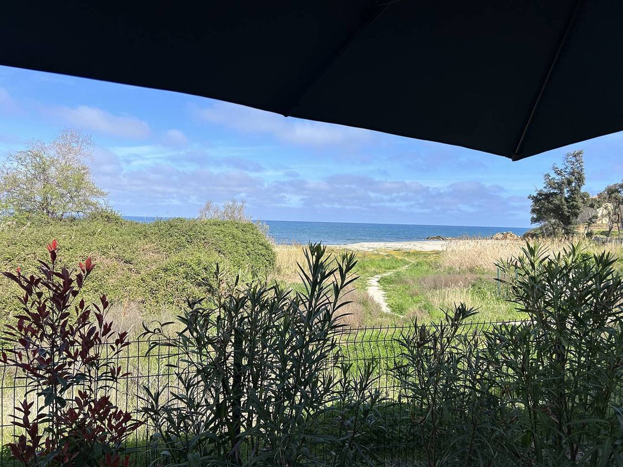 Appartement entier, Appartement au bord de mer avec piscine chauffée - Climatisé, Wifi, et proche plage in Marine de Bravone, Linguizzetta