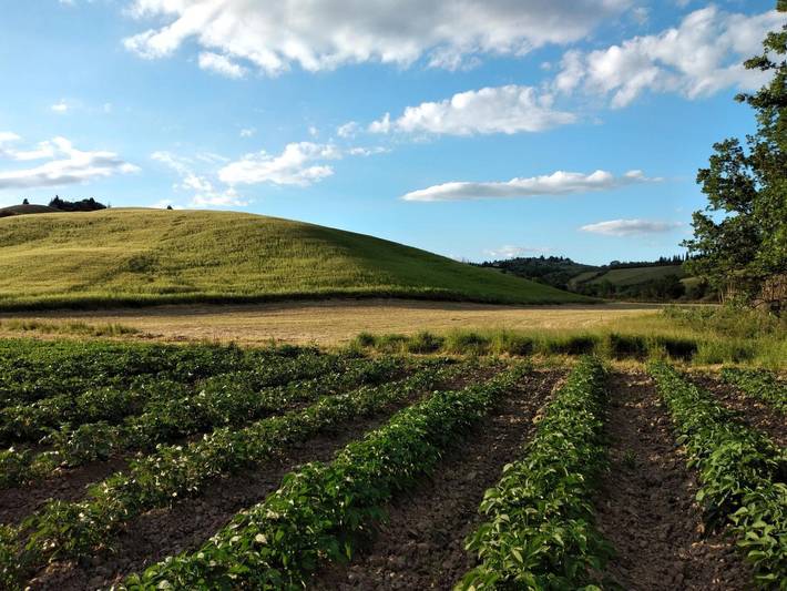 Apartamento de vacaciones para 7 personas, con jardín, Se admiten mascotas - 1