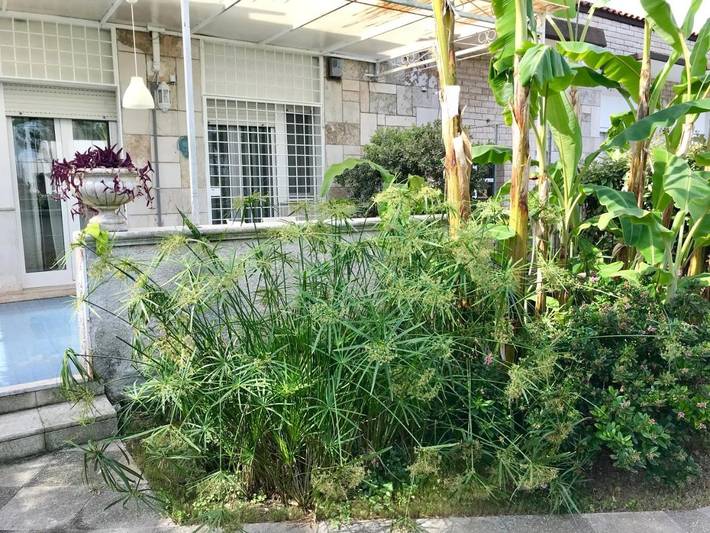 Location de vacances pour 11 personnes, avec jardin à Taranto - 2