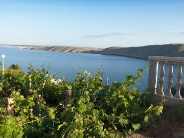 Ferienwohnung für 10 Personen in Vlasici, Pag, Bild 1