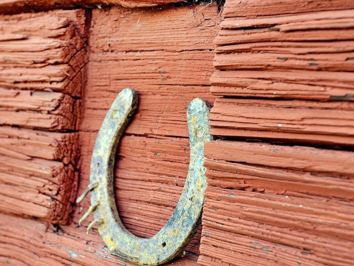 Ferienhaus für 5 Personen, mit Haustier in Väddö - 2