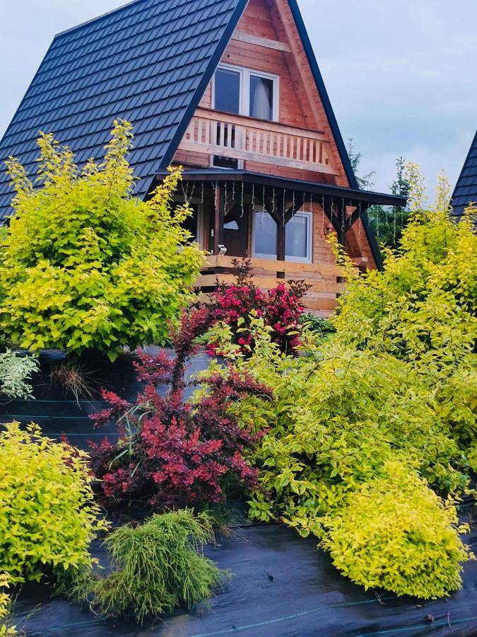 Bies-Czaderskie Chaty in Karpaty (Polska)