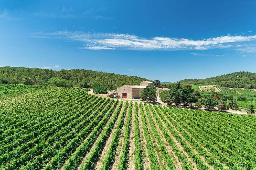 Chateau de Prax Viel, swimming pool, mini farm, air-conditioned - Gîte Grenache in Lagrasse, Regionaler Naturpark Corbières-Fenouillèdes