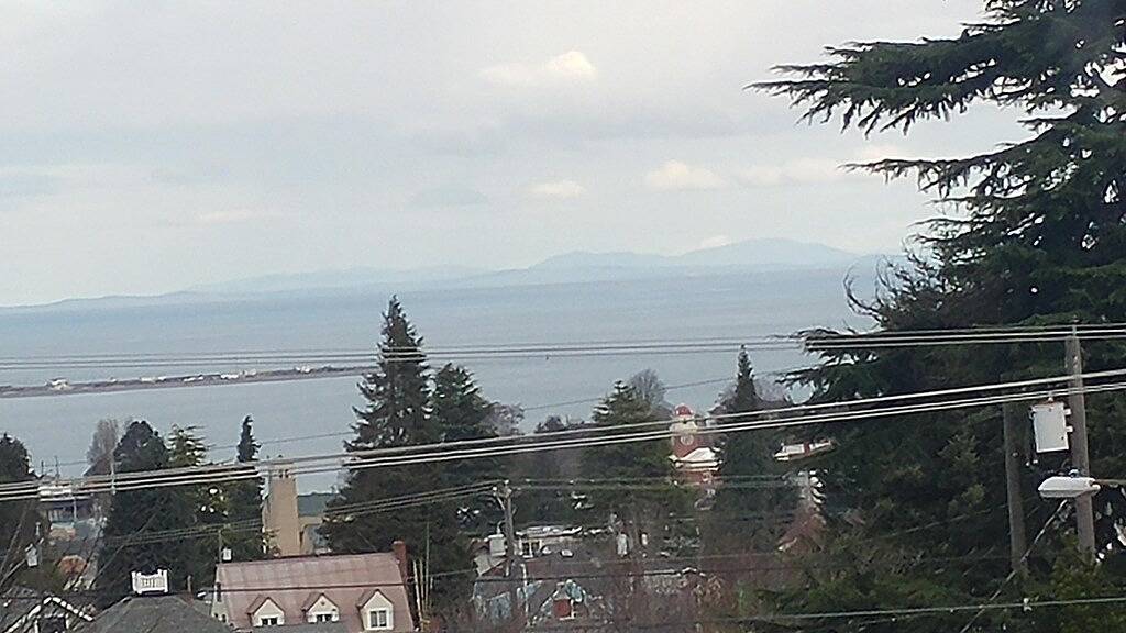 Ganze Wohnung, Von den Berggipfeln bis zum Meer in Port Angeles, Hurricane Ridge