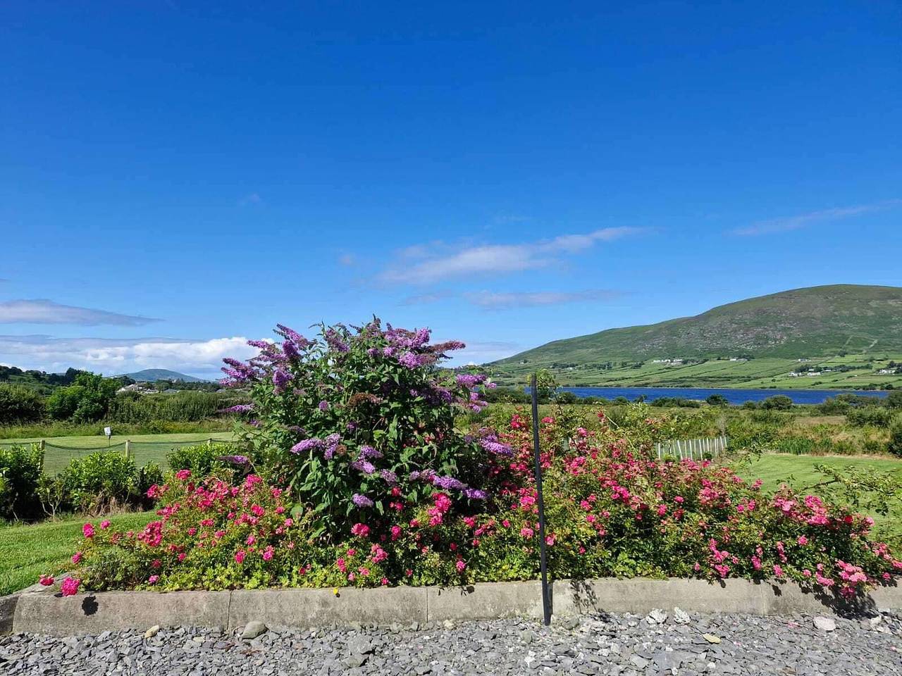 Villa Rose - Sleeps 2 & Stunning Seaside Views in Caher, County Kerry
