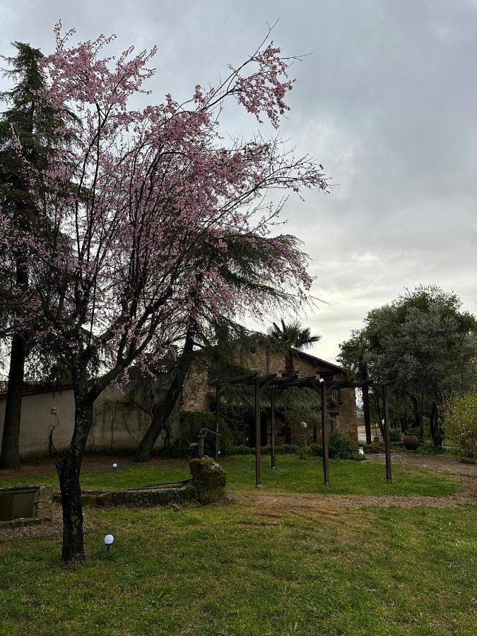 Casa rural para 2 personas, con Balcón y Terraza además de Jacuzzi y Jardín en La Vera - 3