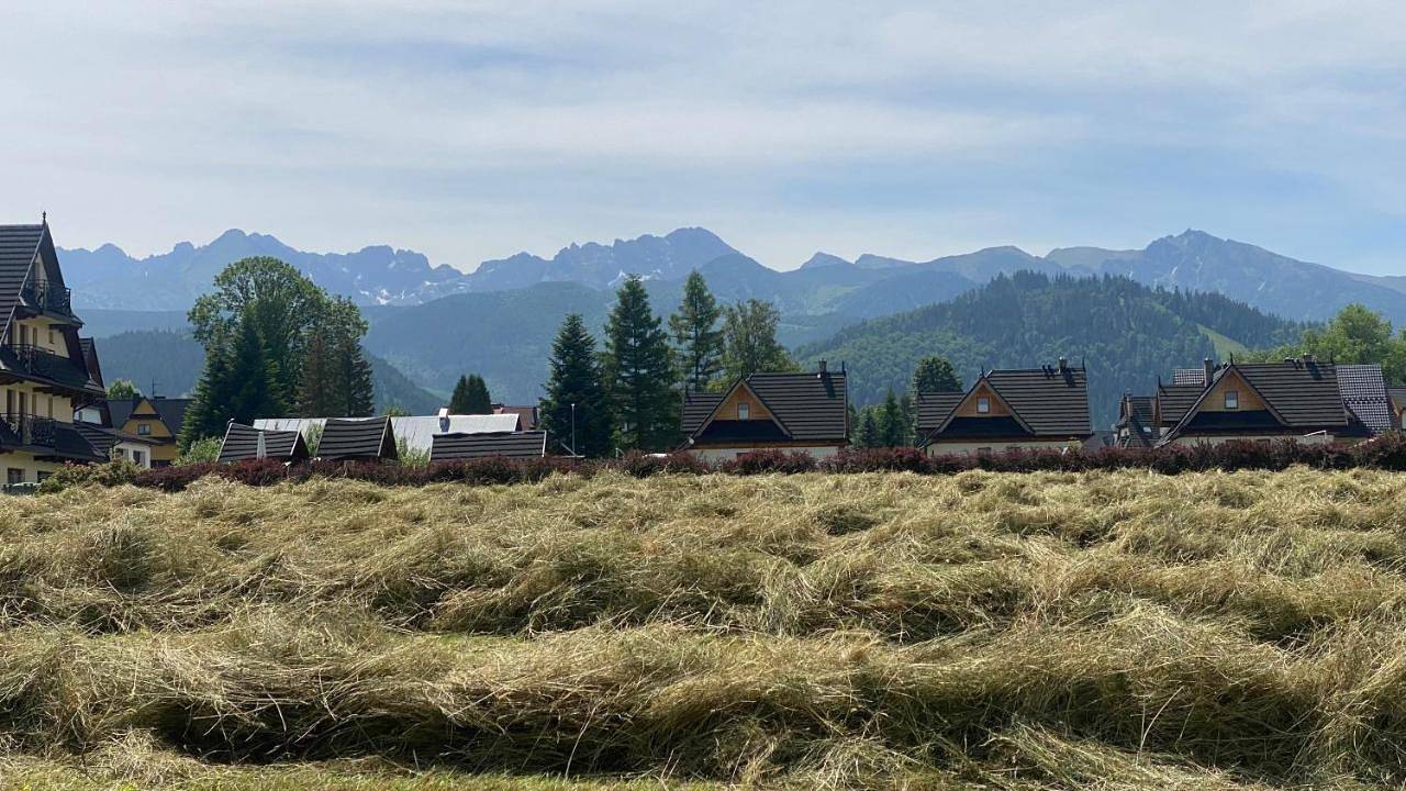 Empty lot in Zakopane, Karpaty (Polska)