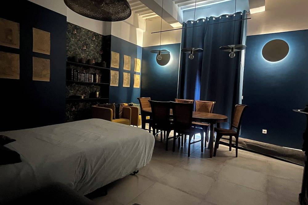 Entire apartment, Apartment overlooking the Rhône, in the 17th-century Commanderie des Antonins. in Vienne (Isère), Vienne region