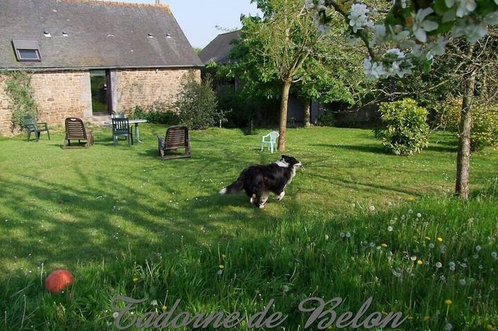 Gîte pour 2 personnes, avec jardin, animaux acceptés à Pleudihen-sur-Rance - 4