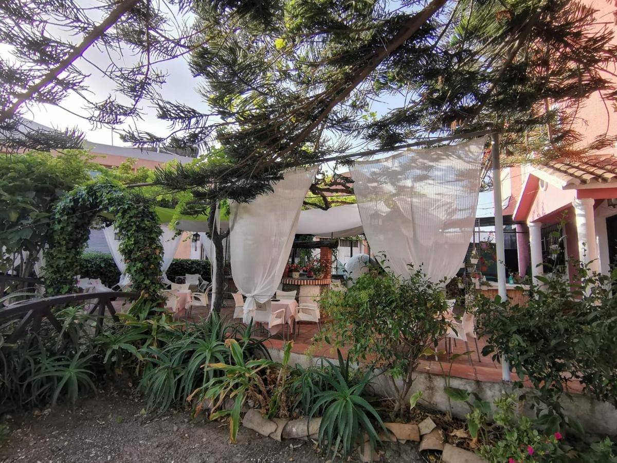 El Tio Mateo in Marbella Este, Marbella
