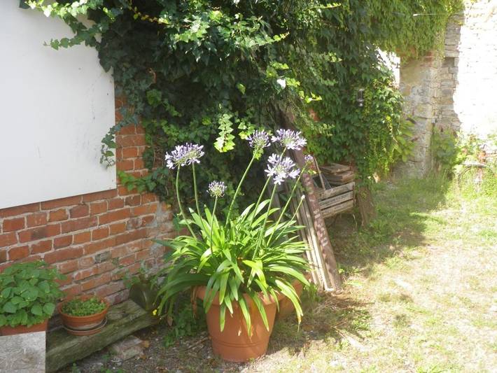 Ferienwohnung für 4 Personen, mit Garten in Barby - 4