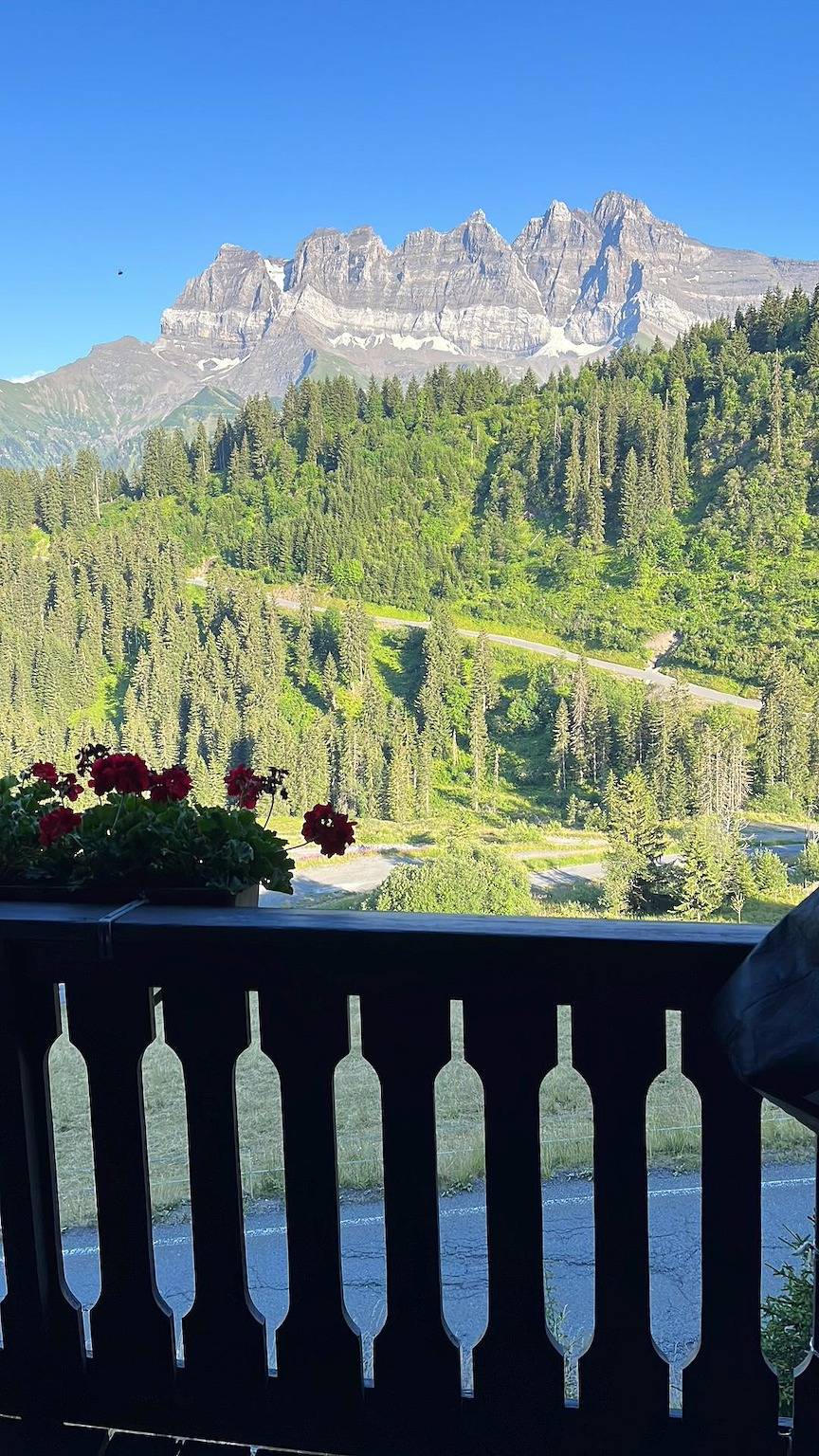 Geheel vakantieappartement, Edelweiss 6 - Edelweiss 6 in Champoussin, Val-d'Illiez