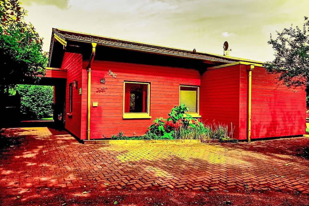 Pinto Rosso in Twist, Emsland