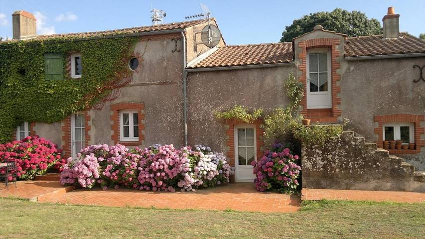 Gîte pour 4 personnes, avec piscine et jardin, animaux acceptés à Frossay - 4