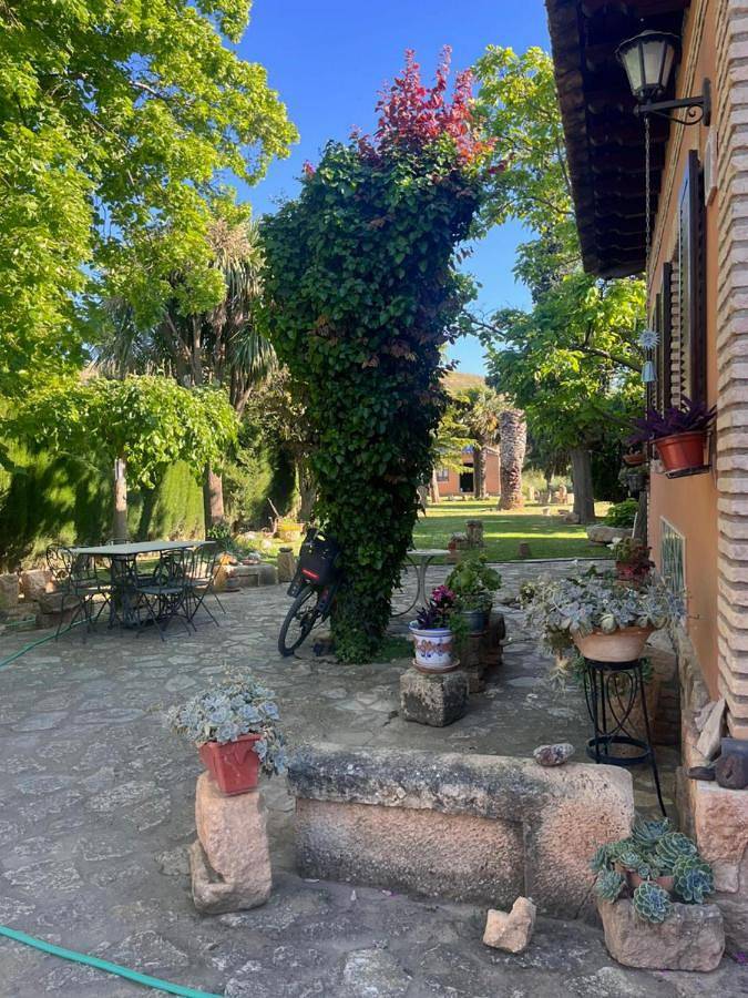 Apartamento de vacaciones para 6 personas, con Balcón además de Terraza y Vistas en Campo de Belchite