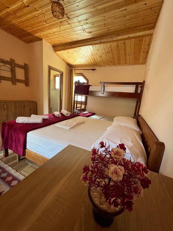 Maison d’hôte pour 3 personnes, avec jardin et vue dans Theth - 2