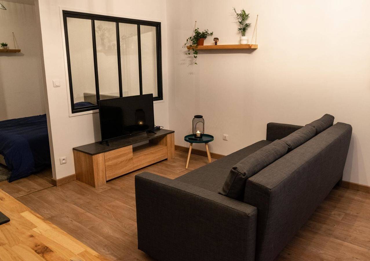 Appartement entier, T2 moderne hypercentre 40m2, au pied de la cathédrale in Auch, Gers