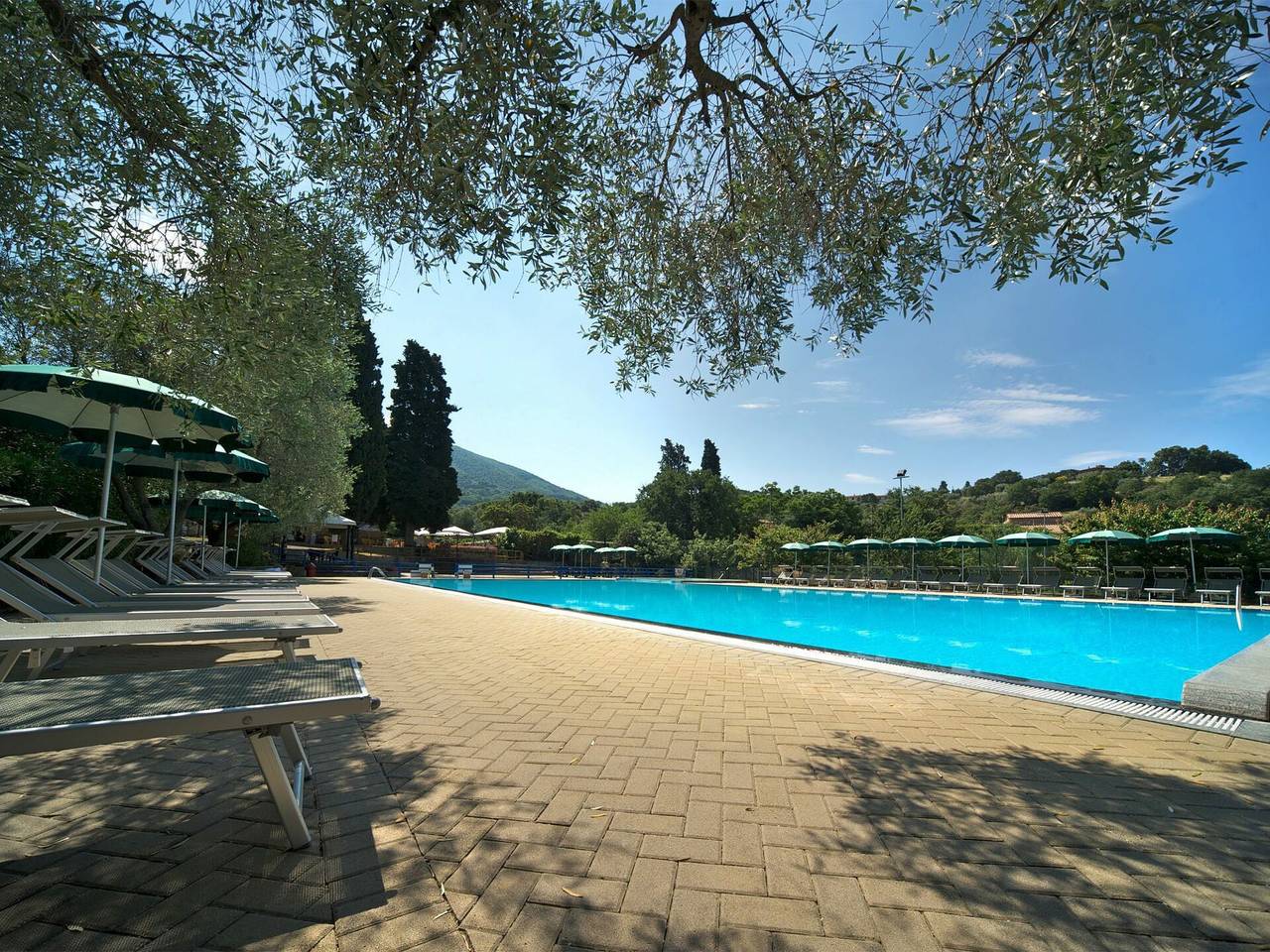 Camping Village Il Fontino - Camping Village Il Fontino 650.1 in Scarlino, Province de Grosseto