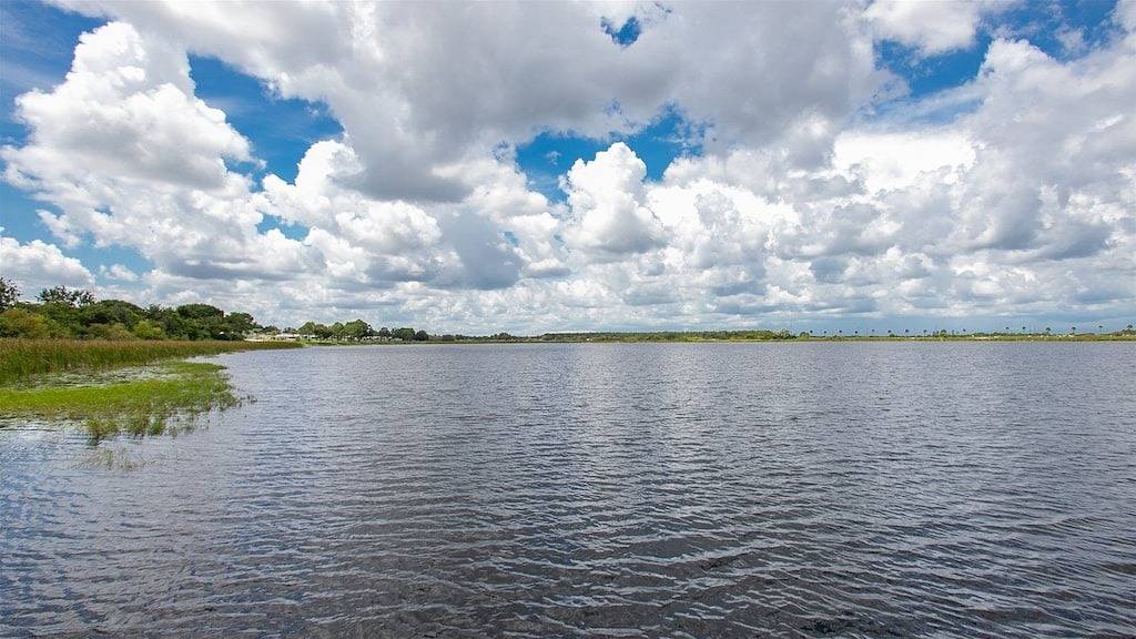 South Facing Tropical Oasis- minutes to Legoland in Haines City, Zentral Florida