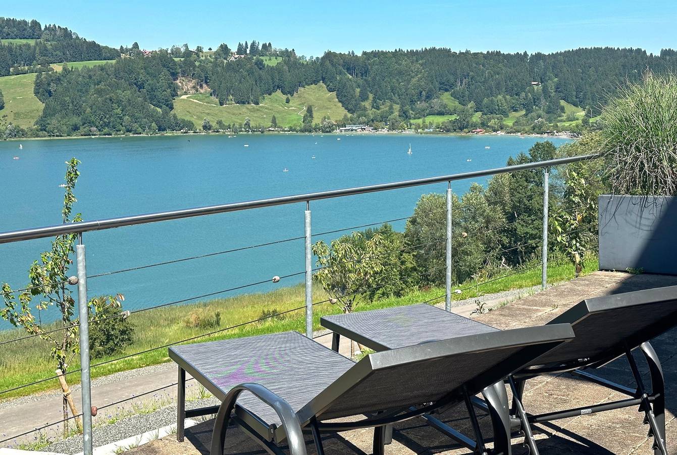Ganze Ferienwohnung, Alpseepanorama in Bühl am Alpsee, Immenstadt