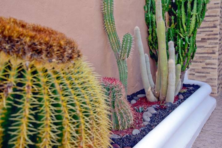 Location de vacances pour 2 personnes, avec jardin et terrasse à Agaete - 4