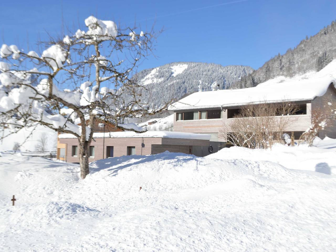 Ganze Ferienwohnung, Haus Christiane in Diedamskopf, Schoppernau