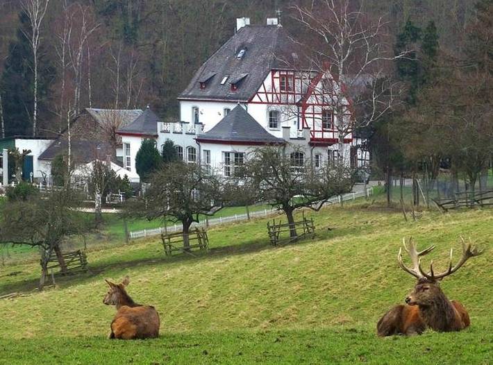 Ferienwohnung für 2 Personen, mit Terrasse und Garten sowie Ausblick in Lahnstein - 2