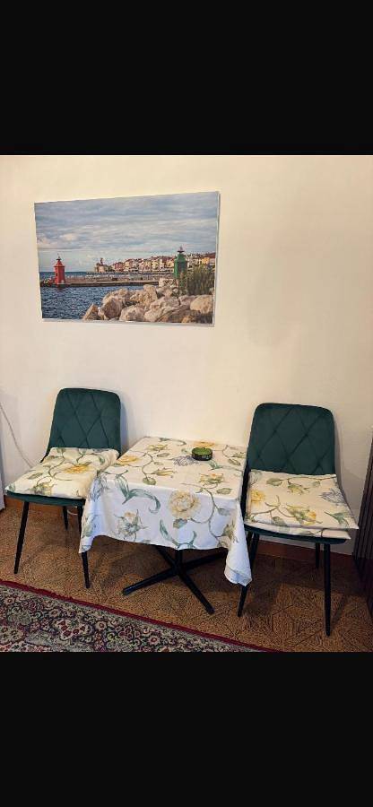 Chambre d’hôte pour 3 personnes, avec terrasse ainsi que jardin et vue à Piran - 4