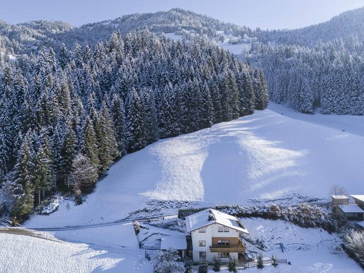 Ferienhaus für 14 Personen, mit Balkon und Garten sowie Sauna in SkiWelt Wilder Kaiser - Brixental - 3