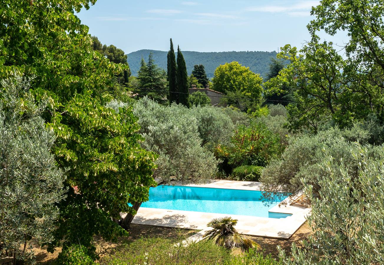 Oliviers de Bargemon in Bargemon, Draguignan region