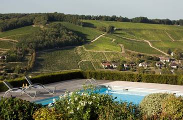 Hôtel pour 2 personnes, avec piscine et terrasse, animaux acceptés à Sancerre