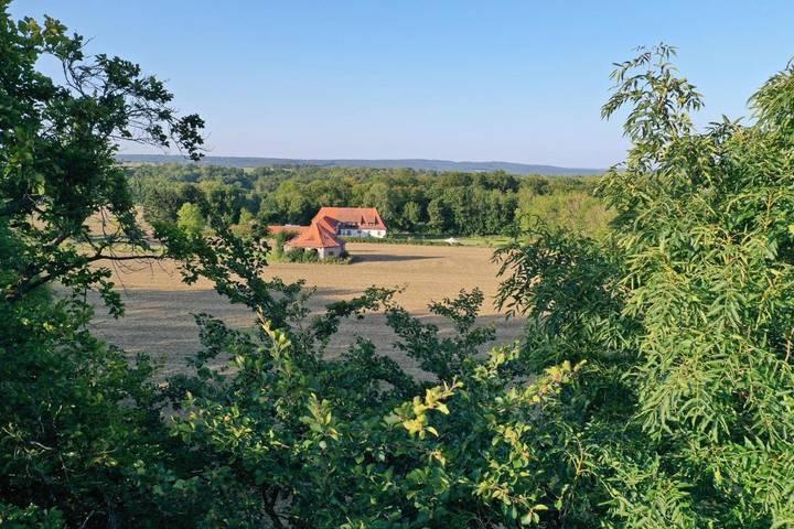 Ferienwohnung für 10 Personen, mit Terrasse und Garten in Herleshausen - 2