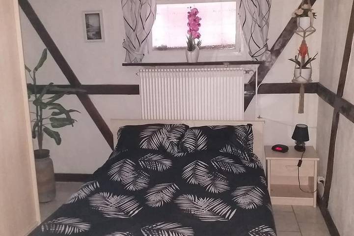 Entire apartment, Basement apartment near downtown Colmar, with a private garden in Colmar, Colmar region