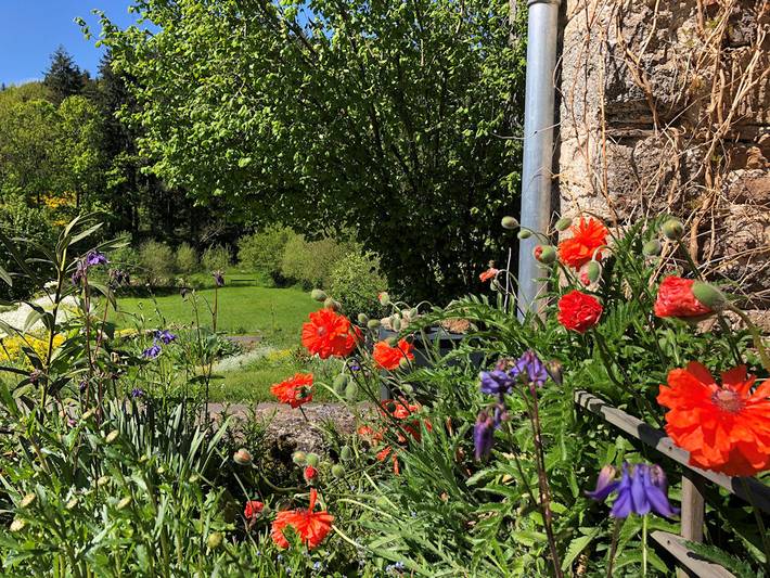 Gîte pour 3 personnes, avec jardin dans la Loire - 3