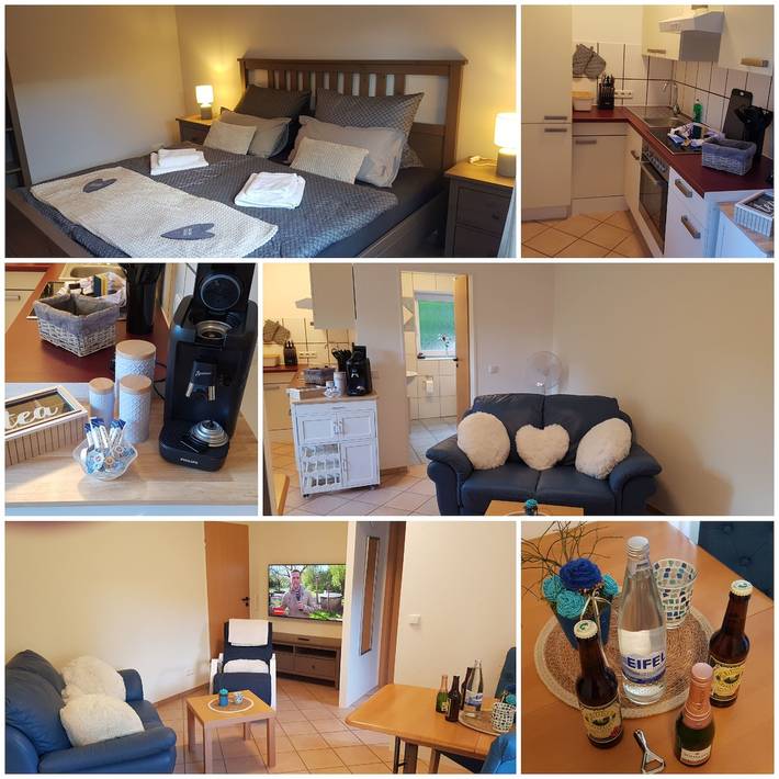 Ferienwohnung für 3 Personen, mit Ausblick und Terrasse sowie Garten, mit Haustier im Nationalpark Eifel - 4