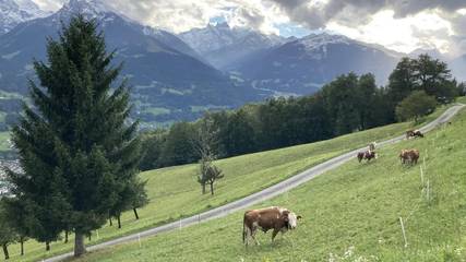 Vakantiewoning voor 4 Personen in Bartholomäberg, Golm im Montafon, Afbeelding 3